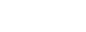 Baughn Insurance Group - Logo White